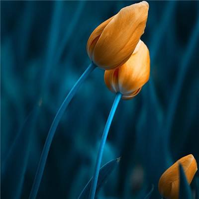 m6米乐手机登陆入口截图